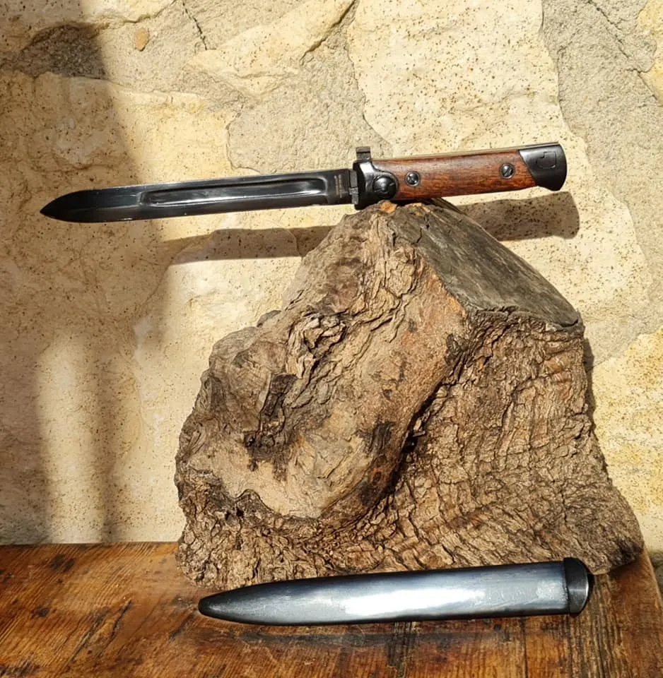 Bayonets - 309032714_10227449450599339_7964903509503428549_n (1)