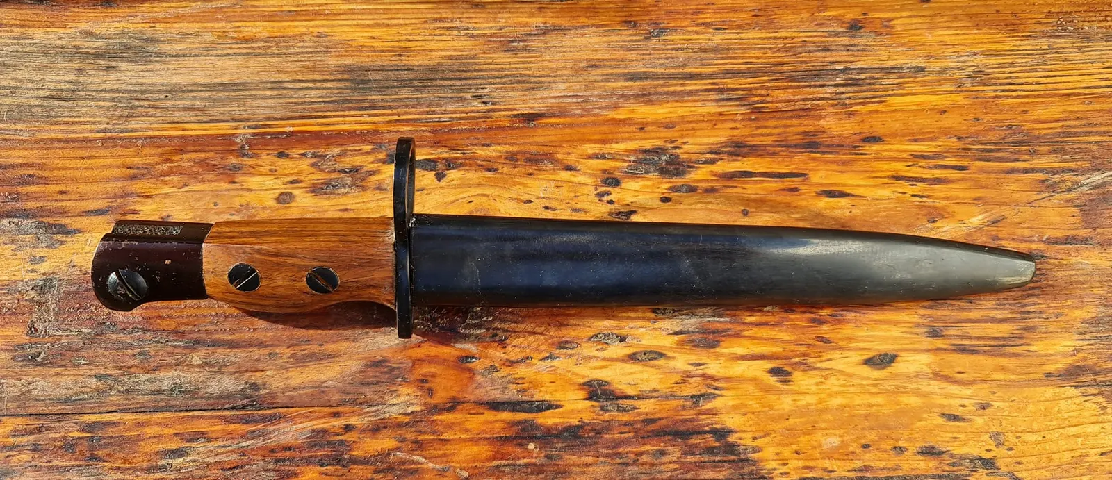 Bayonets - 310459832_10227449475879971_4239001825551795543_n