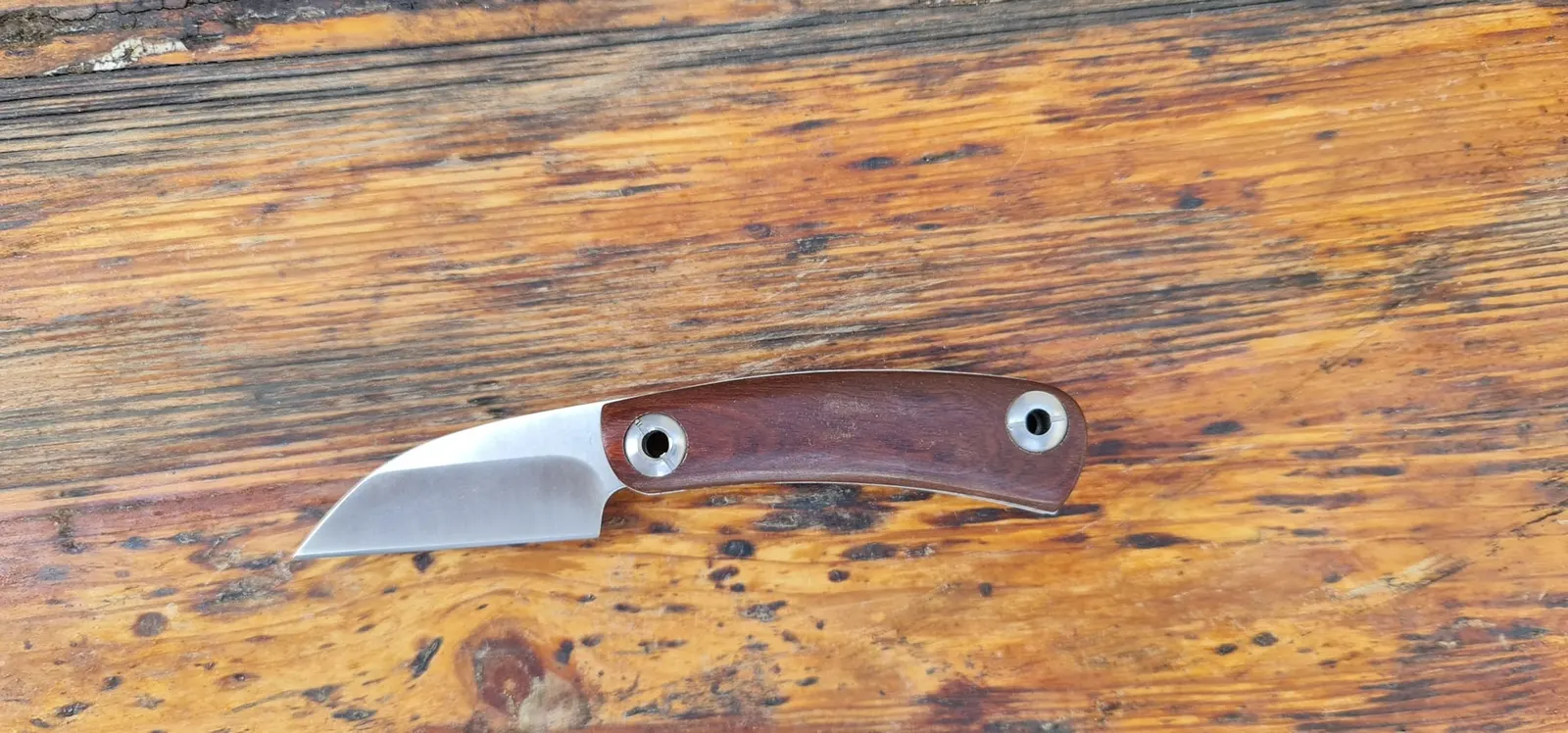 Folding Knives - 311960587_10227584164967114_2195454033498723270_n_edited