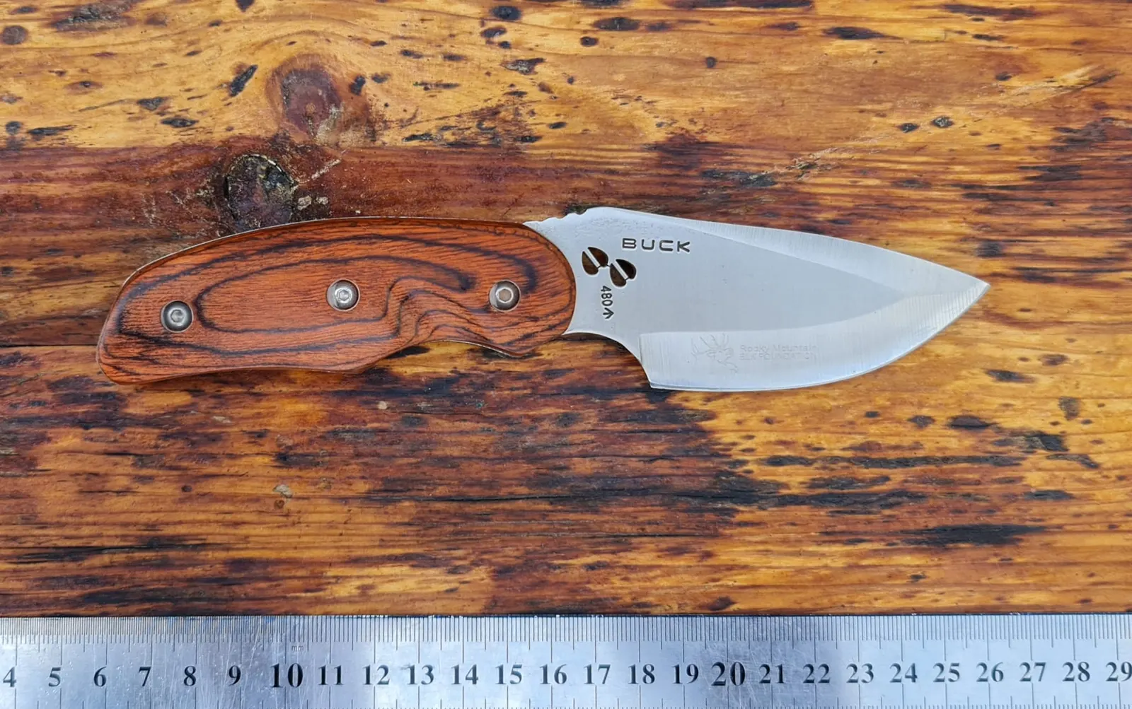 Hunting Knives - 310769102_10227466438264020_2989231854316017639_n