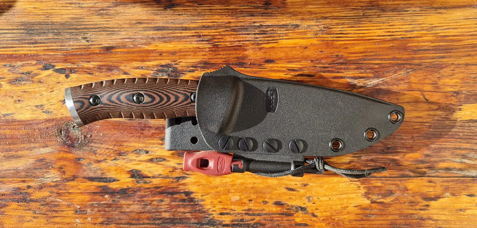 Hunting Knives - 309142614_10227440896665496_4065865878647572512_n