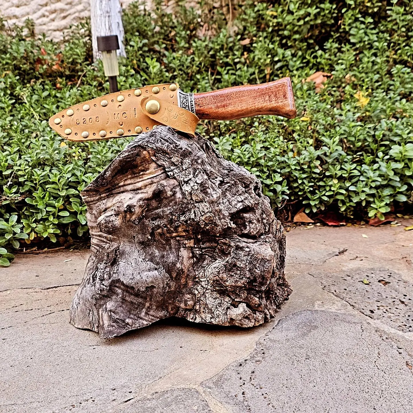 Knife Gallery - 226