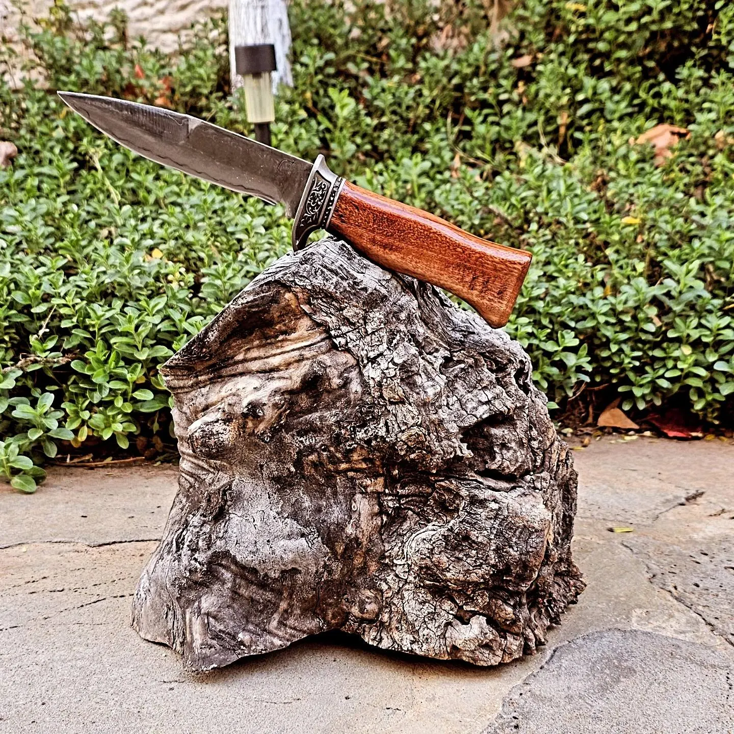 Knife Gallery - 227