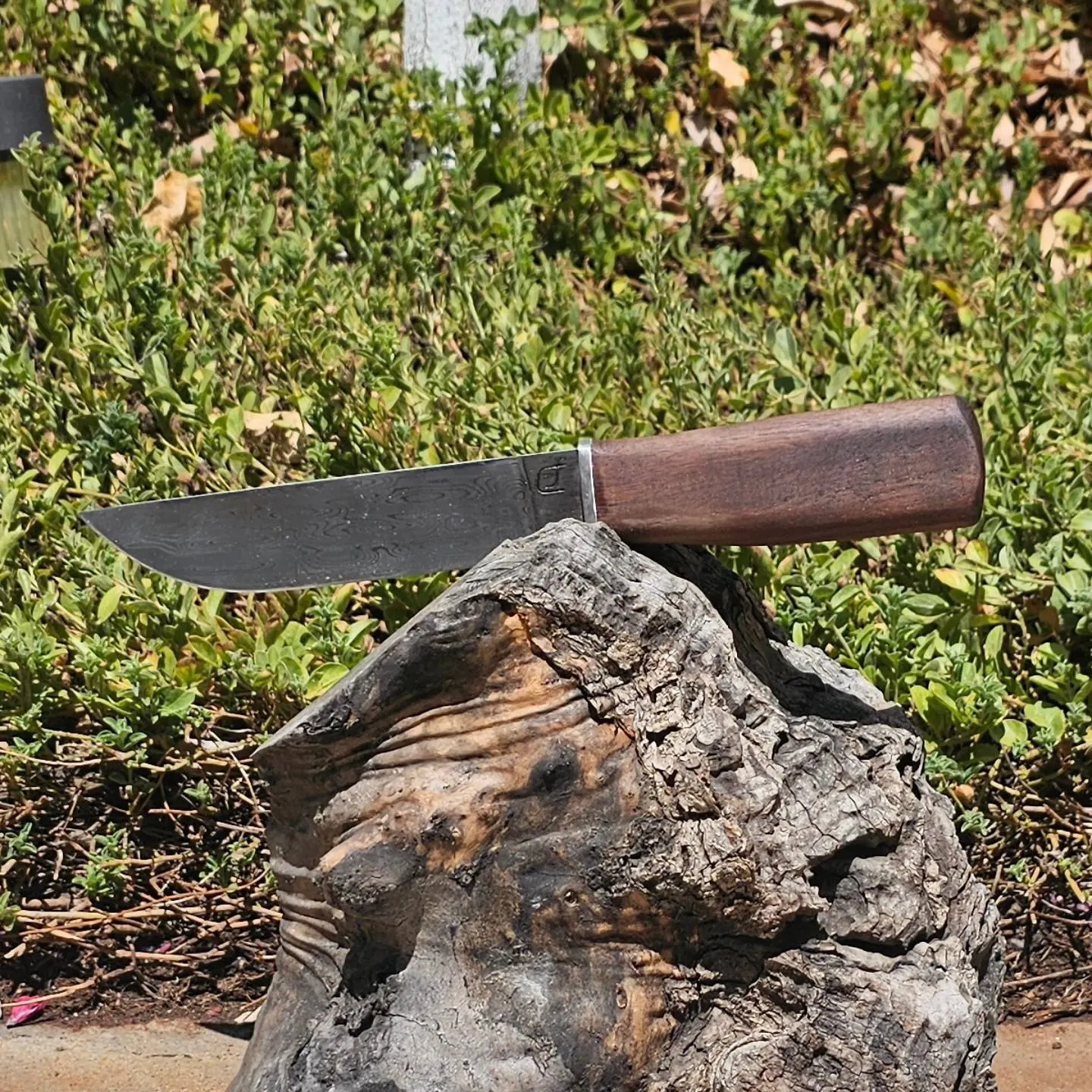Knife Gallery - 278