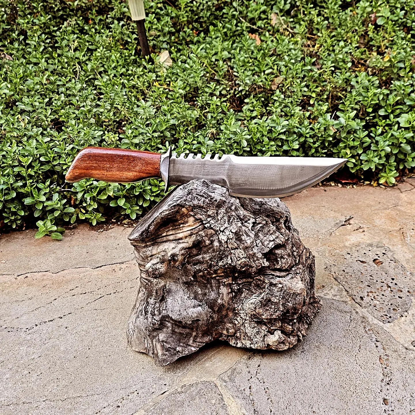 Knife Gallery - 295