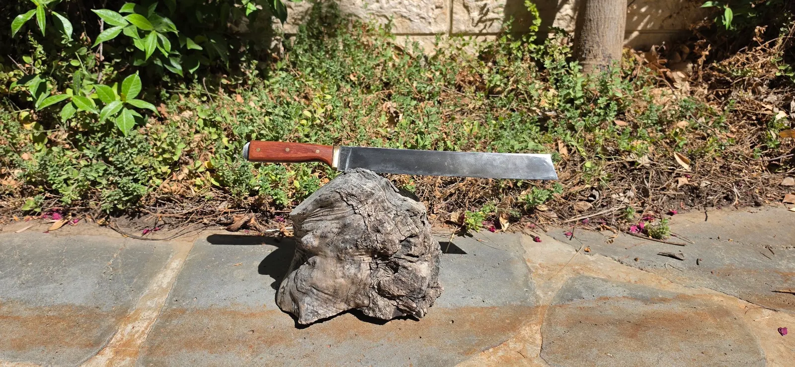 Knife Gallery - 307