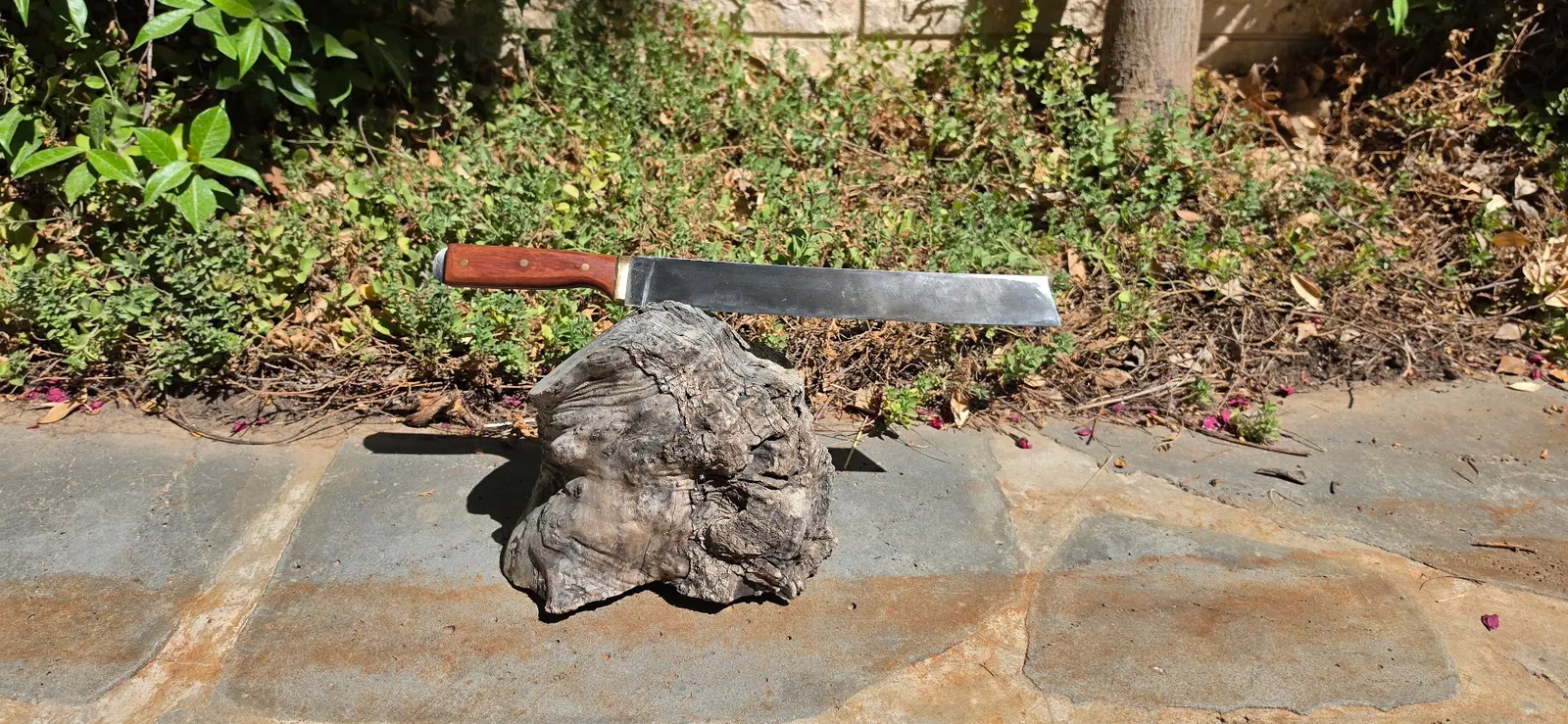 Knife Gallery - 308