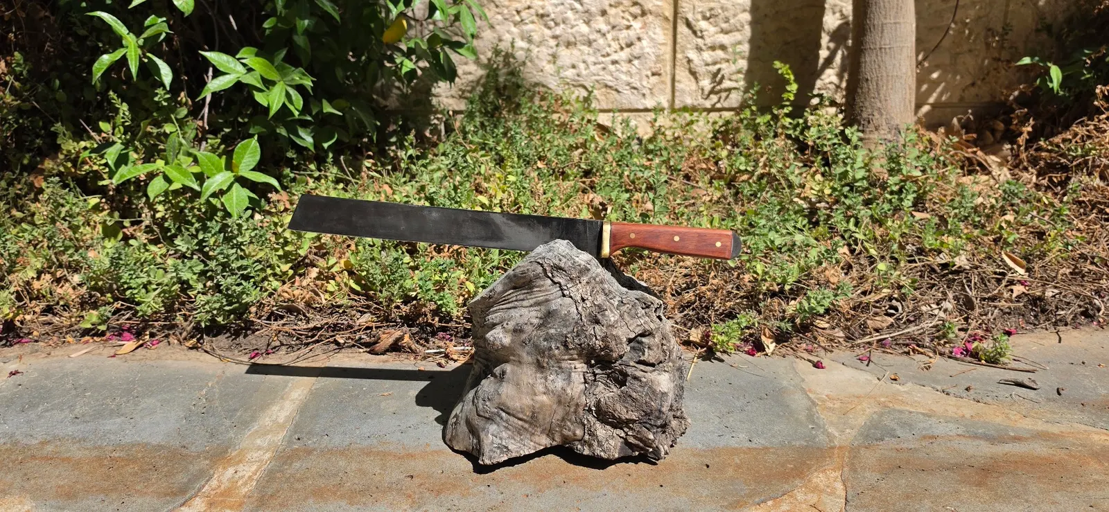 Knife Gallery - 309