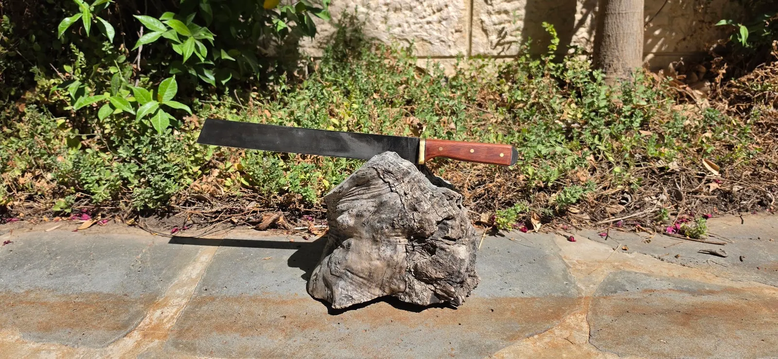 Knife Gallery - 310