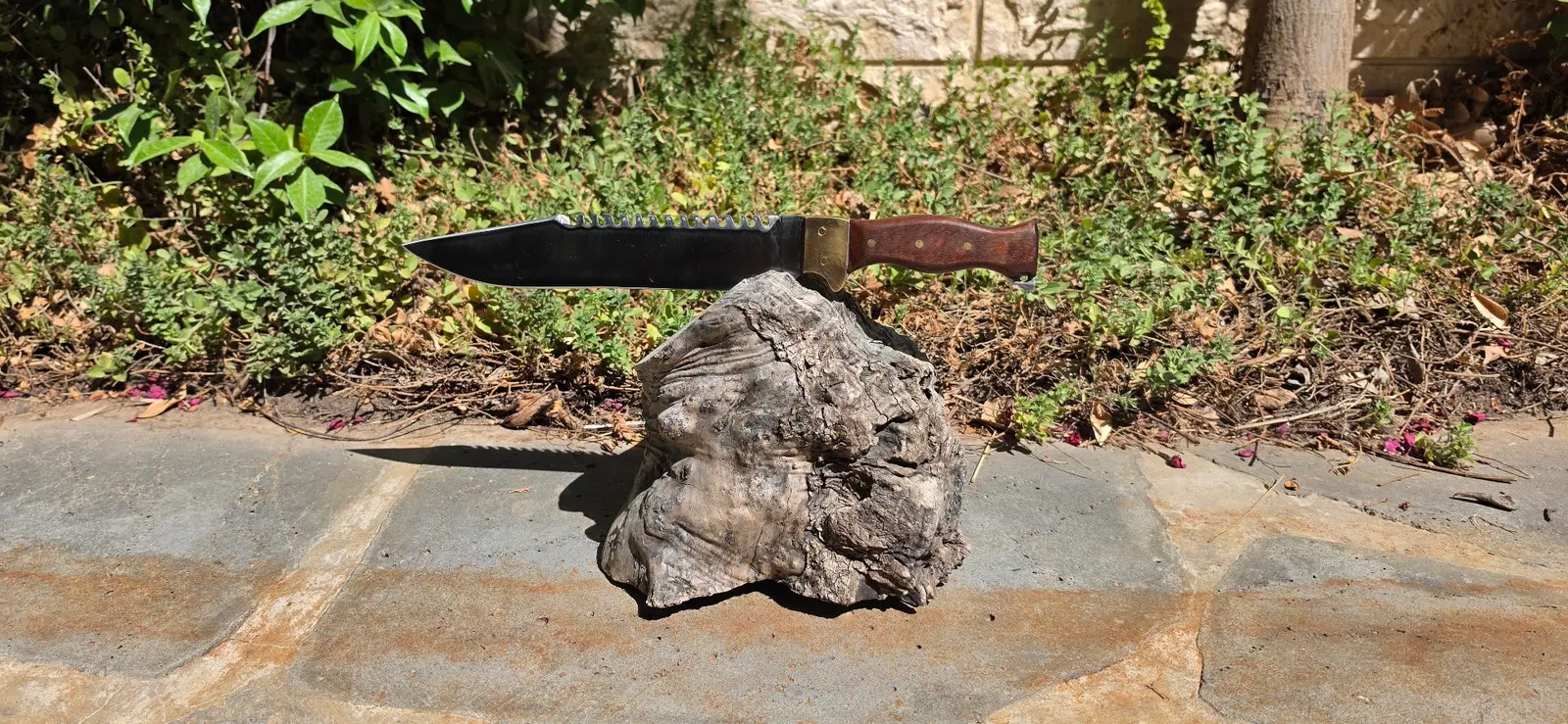 Knife Gallery - 326